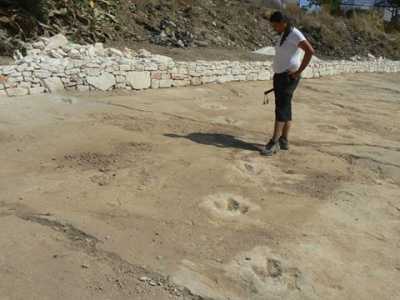 I dinosauri della Puglia